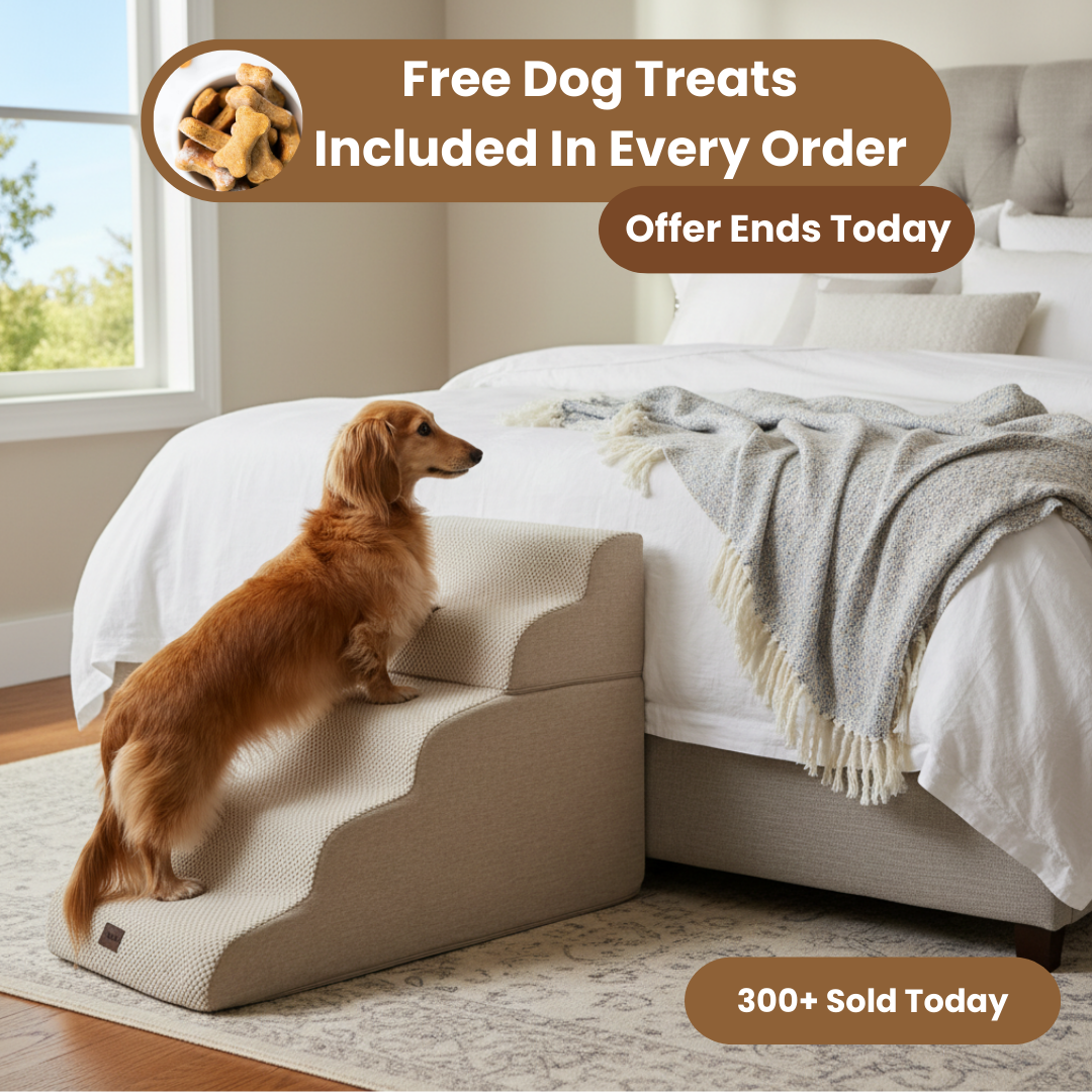 Protect Your Dogs Bones